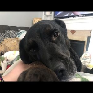 Meet your Posher, Jenny